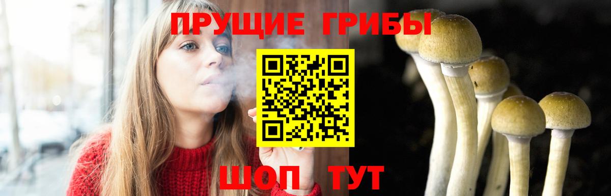 Псилоцибиновые грибы мухоморы  закладка  Псилоцибиновые грибы Psilocybe  Азов  Вход с VPN 